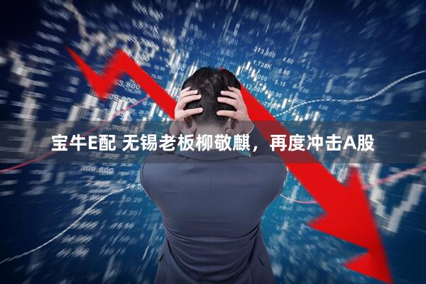 宝牛E配 无锡老板柳敬麒，再度冲击A股